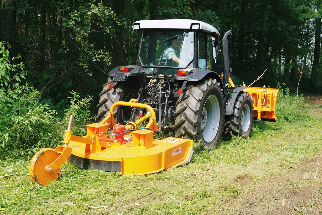 rs1500