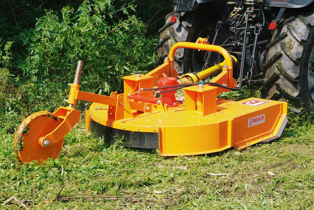 rs15004 