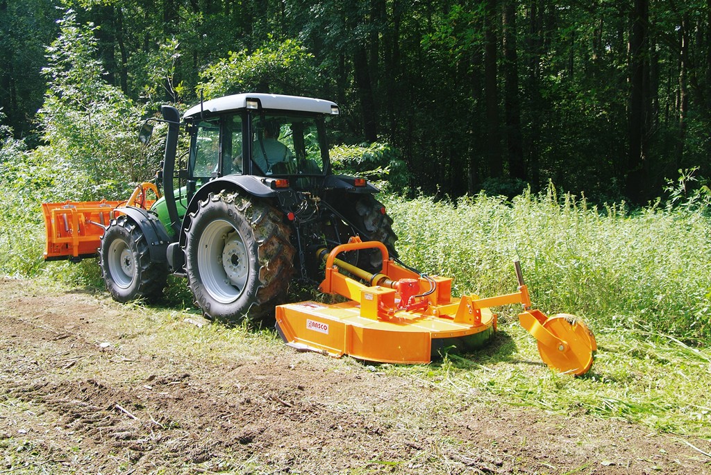 rs15006 